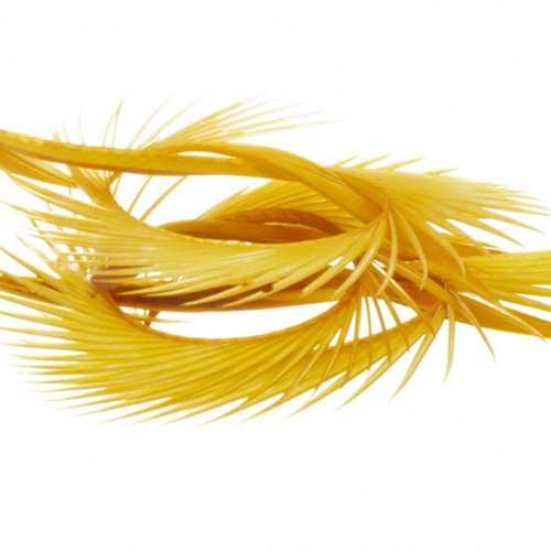 Natural Range Goose Biots