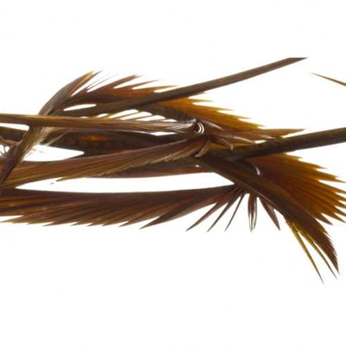 Natural Range Goose Biots