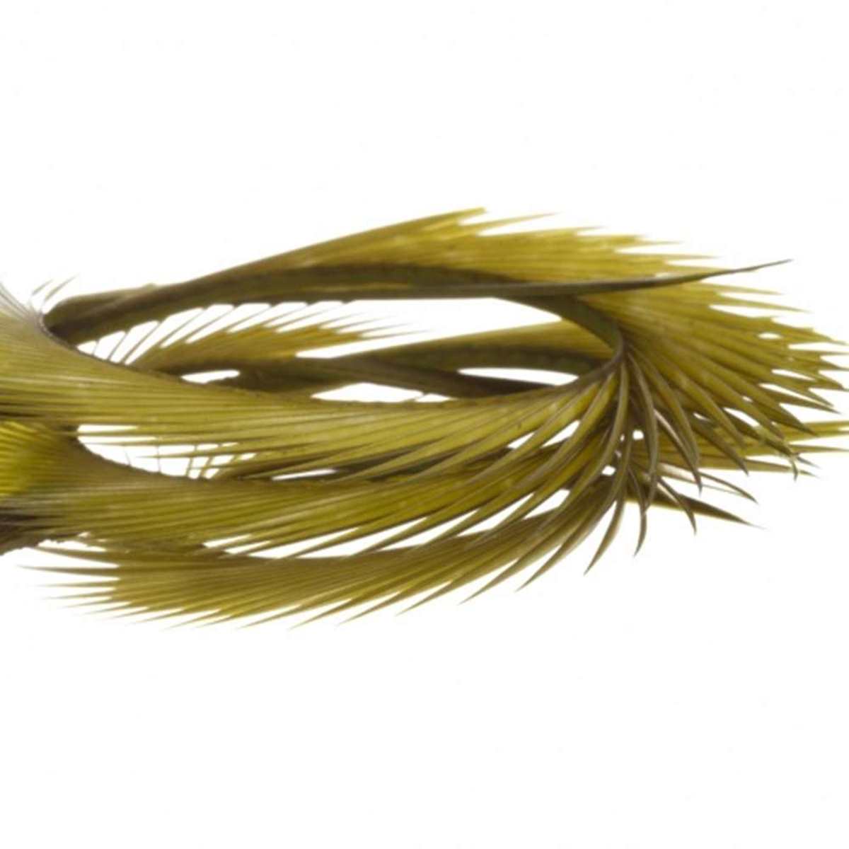 Natural Range Goose Biots