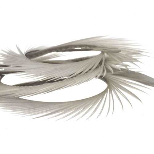 Natural Range Goose Biots