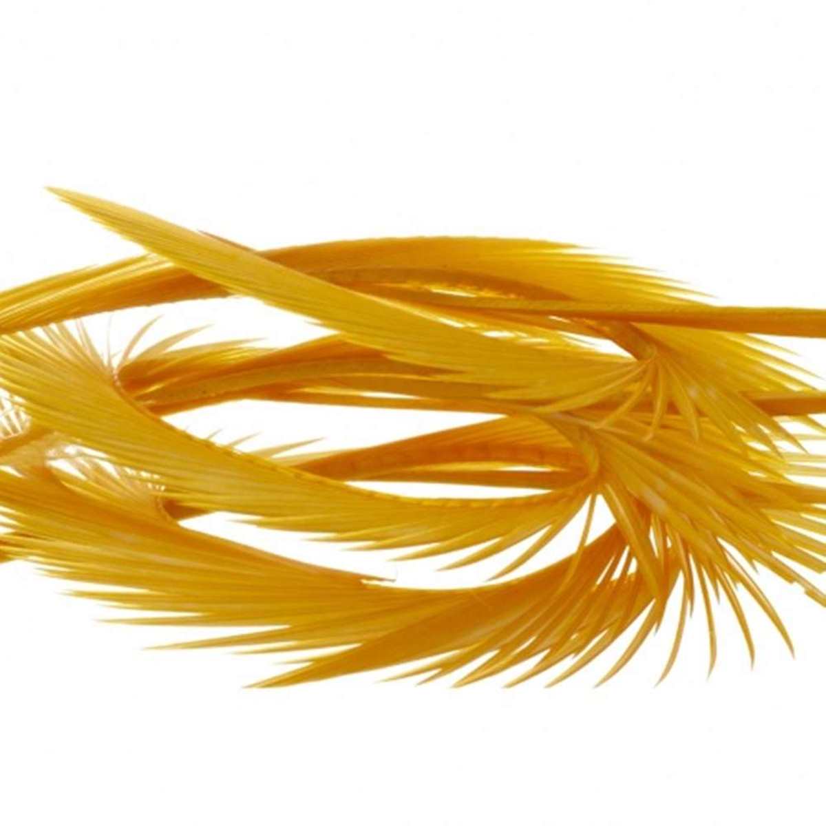 Natural Range Goose Biots